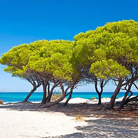 Club & Village Cala Fiorita Hotel Budoni